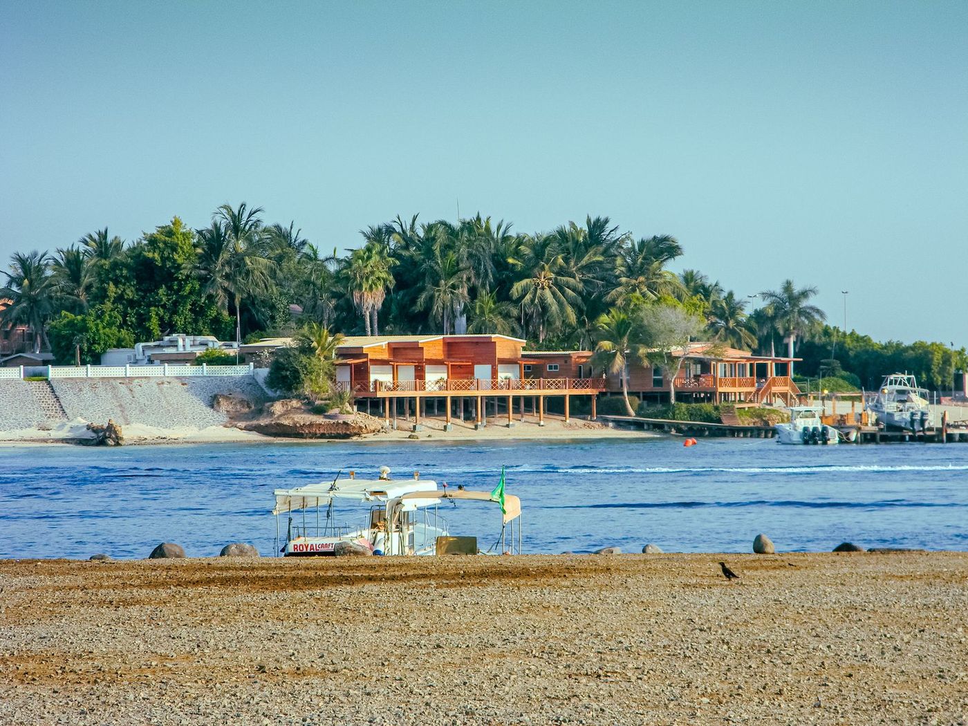 Palm-lined Red Sea beachfront in Jeddah